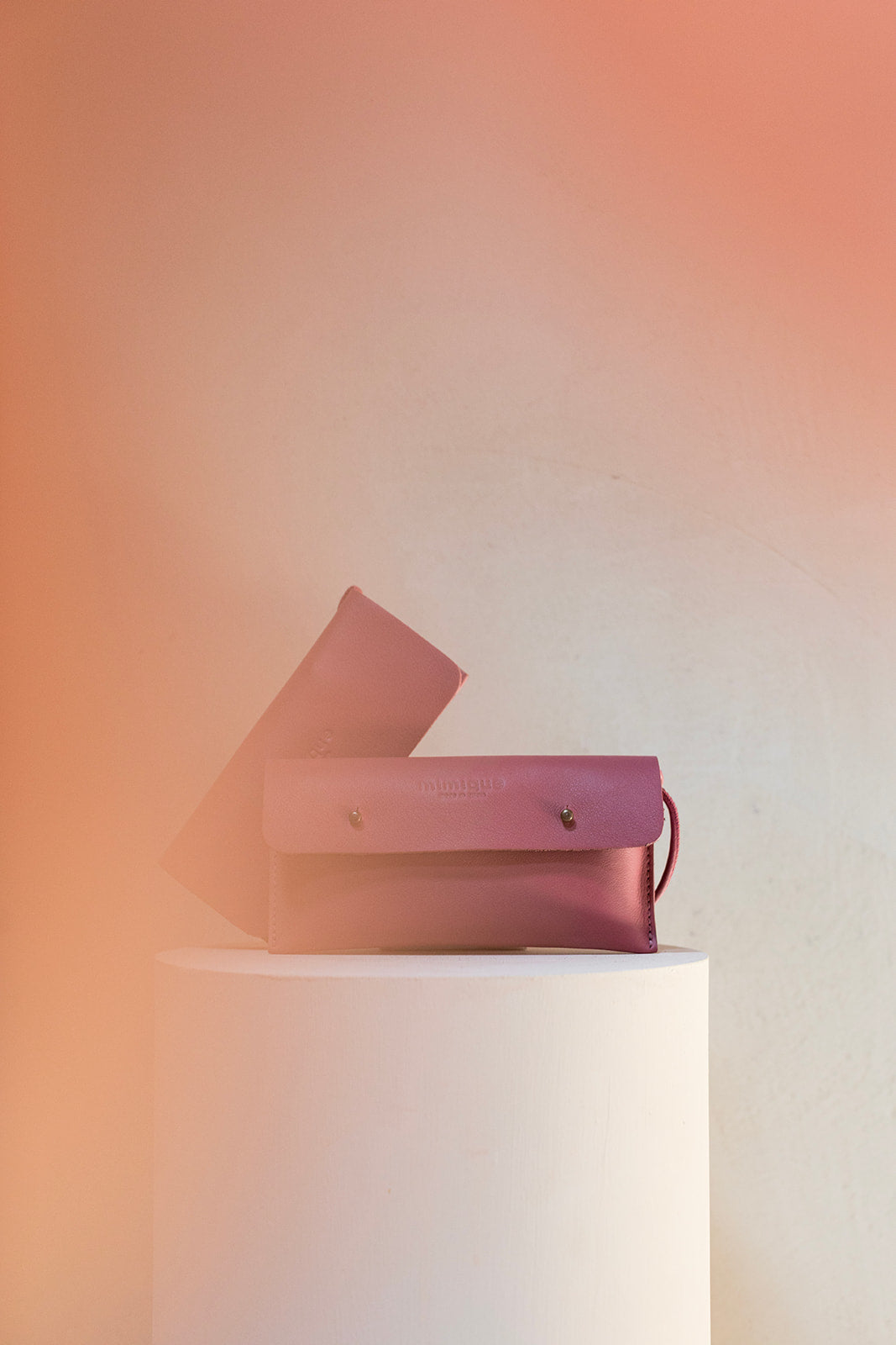 Raspberry mobile case